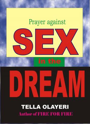 Cover of the book Prayer against SEX in the DREAM by Tella Olayeri