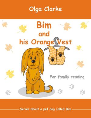 Book cover of Bim and his Orange Vest