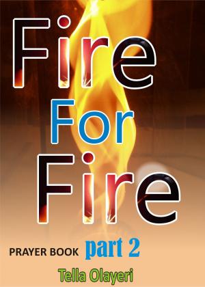 Cover of the book FIRE for FIRE part two by Terrance Zepke
