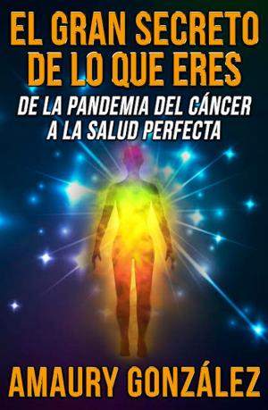 Cover of the book El Gran Secreto de lo que Eres by federica ottone