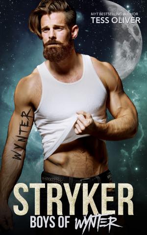 Cover of the book Stryker by Jennifer Ashley