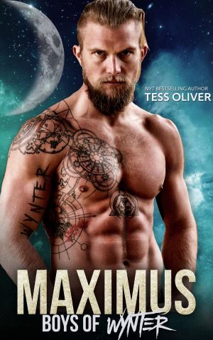 bigCover of the book Maximus by 