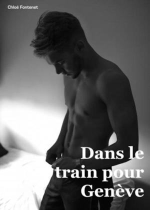 Cover of the book Dans le train pour Genève by J Itchen