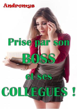 Cover of Prise par son boss et ses collègues !