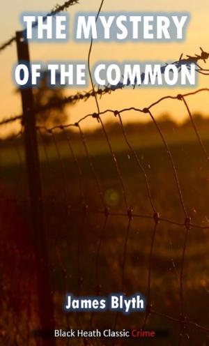 Cover of The Mystery of the Common