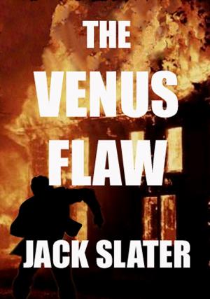 Book cover of The Venus Flaw