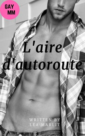 Cover of the book L'aire d'autoroute torride by Léa Marlit