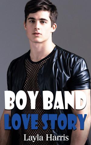 Cover of the book Boy Band Love Story by Sara Robbins