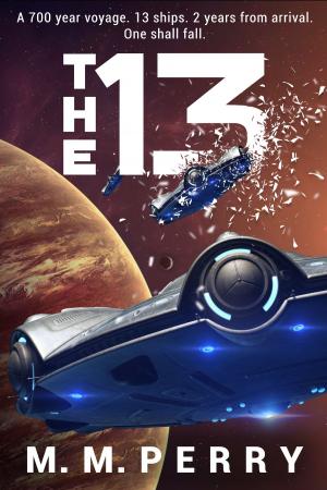 Cover of the book The 13 by M.M. Perry