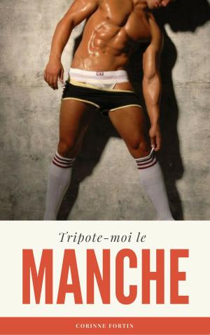 Cover of the book Tripote-moi le manche ! by Corinne Fortin