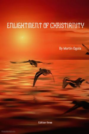 Cover of the book Enlightment of Christianity by Rachel Larkin