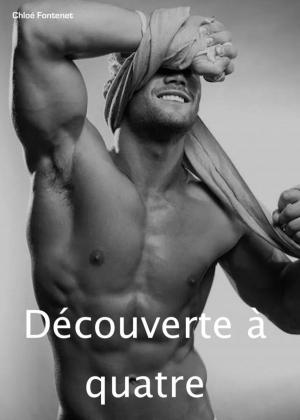 Cover of the book Découverte à quatre by Sidonie Spice