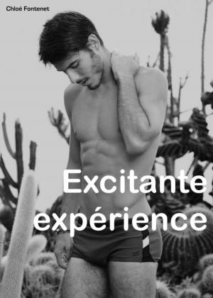 Cover of the book Excitante expérience by Montana Mills