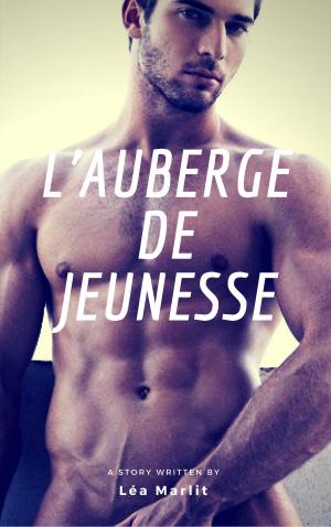 Cover of the book L'auberge de jeunesse by Léa Marlit