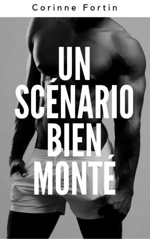 Book cover of Un scénario bien monté