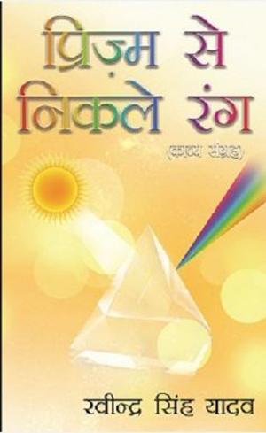 Book cover of Prism Se Nikle Rang