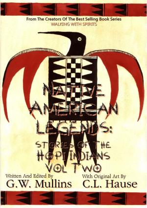 bigCover of the book Native American Legends: Stories Of The Hopi Indians Vol Two by 