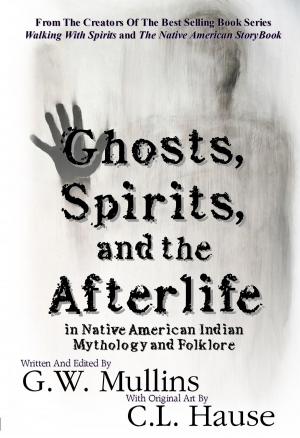 Cover of the book Ghosts, Spirits, and the Afterlife in Native American Indian Mythology And Folklore by Chelsea Lyle