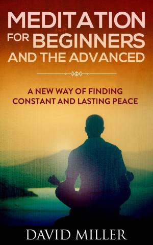 Book cover of Meditation - Beginners and the Advanced A New Way of Finding Constant and Lasting Peace