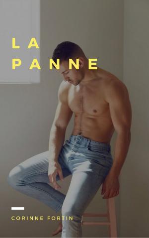 Cover of the book La panne by Corinne Fortin