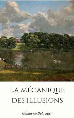 Cover of the book La mécanique des illusions by Olivier Bassine