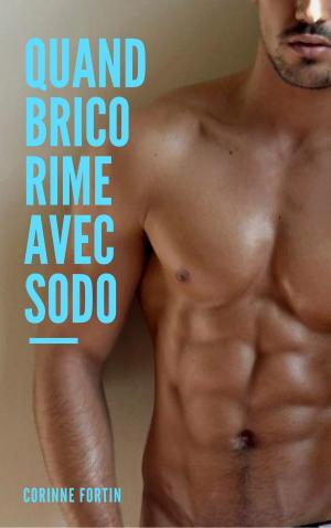 Cover of the book Quand brico rime avec sodo by Corinne Fortin