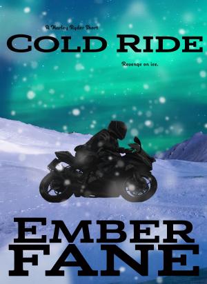 Cover of the book Cold Ride by Amanda M. Holt
