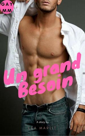 Cover of the book Un grand besoin by D.T. Williams