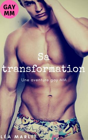 Cover of the book Sa transformation by Dawn H. Hawkes
