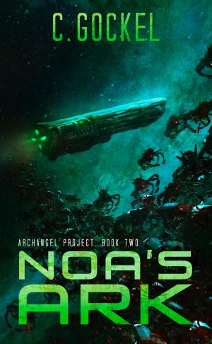 Cover of the book Noa's Ark by Kel Sandhu