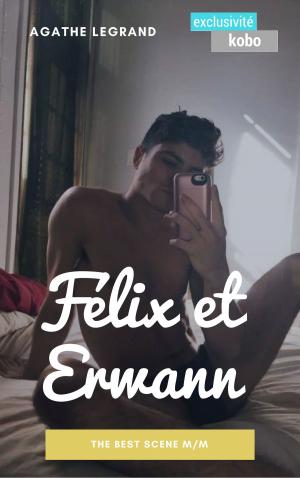 Cover of the book Félix et Erwann by Agathe Legrand