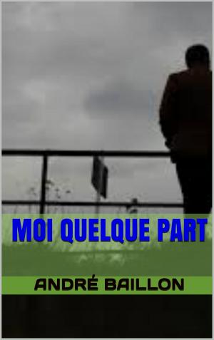 Cover of the book moi quelque part by de berangean