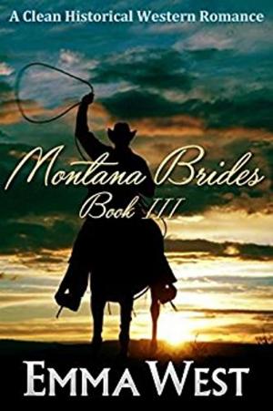 Cover of Montana Brides 3