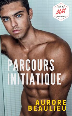Cover of the book Parcours initiatique by Aurore Beaulieu