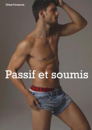 Cover of the book Passif et soumis by Gerard Peters