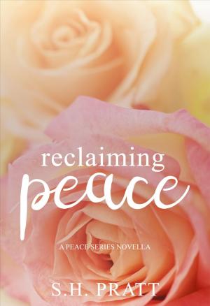 Cover of the book Reclaiming Peace by Emme X