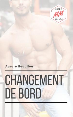 Cover of the book Changement de bord by Joséphine Laturlutte, Valérie Mouillaflot