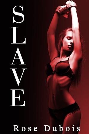 Cover of the book SLAVE: Le Test de Soumission (Tome 1) by Rose Dubois