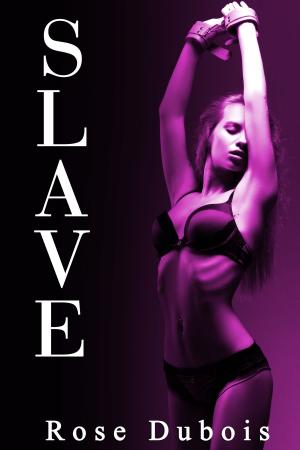 bigCover of the book SLAVE: Le Test de Soumission (Tome 2) by 