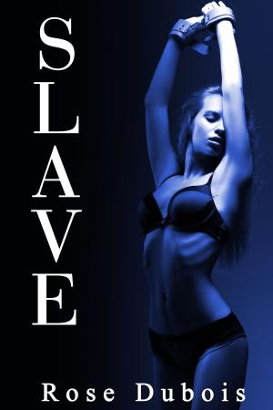 Cover of the book SLAVE: Le Test de Soumission (Tome 3) by Anni Kapoor