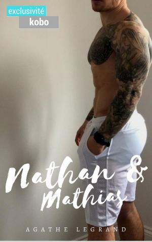Cover of the book Nathan & Mathias by Leann Lane