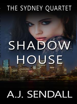Cover of the book Shadow House by Nick Lenoir