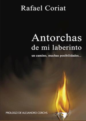 Cover of the book Antorchas de mi Laberinto by Ludwing V Romero F