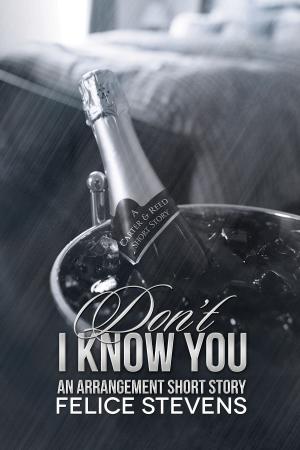 Cover of the book Don't I Know You by Cornelia Katina Gail