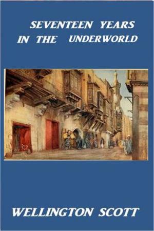 Cover of the book Seventeen Years in the Underworld by Amy Ella Blanchard