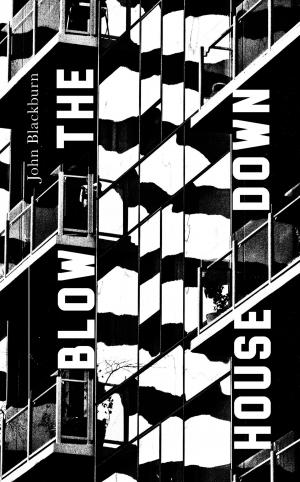 Cover of the book Blow the House Down by Craig Decent