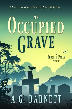 Cover of the book An Occupied Grave by Dan Ames
