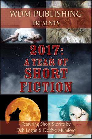 Cover of the book 2017: A Year of Short Fiction by Bonnie Bernard