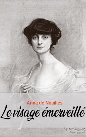 Cover of the book Le visage émerveillé by Frank Drury