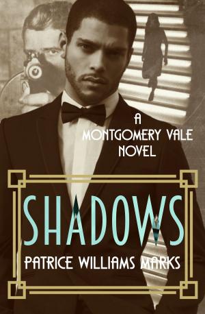 bigCover of the book Montgomery Vale: Shadows by 